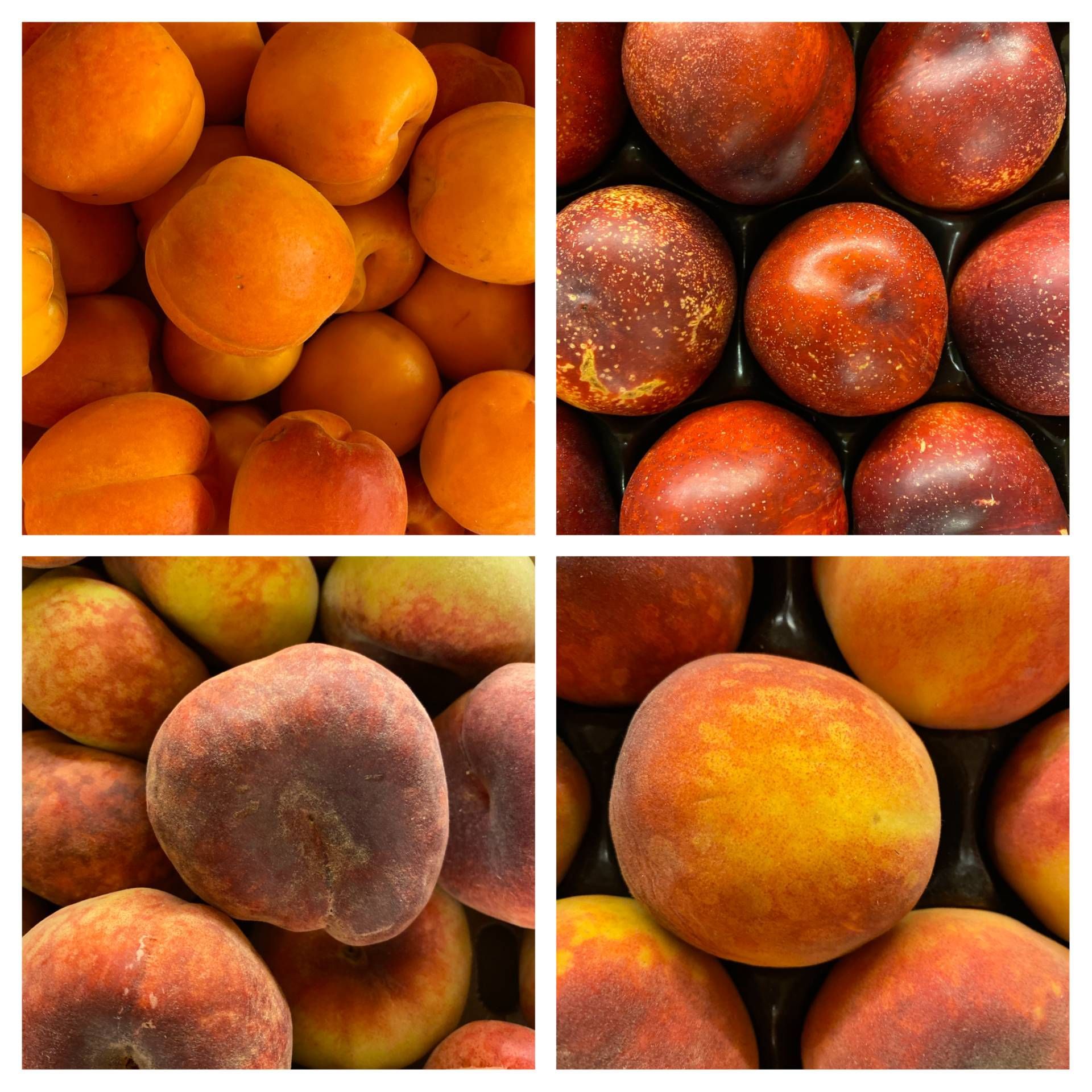 Feinkost Frank Lebensmittel Obst