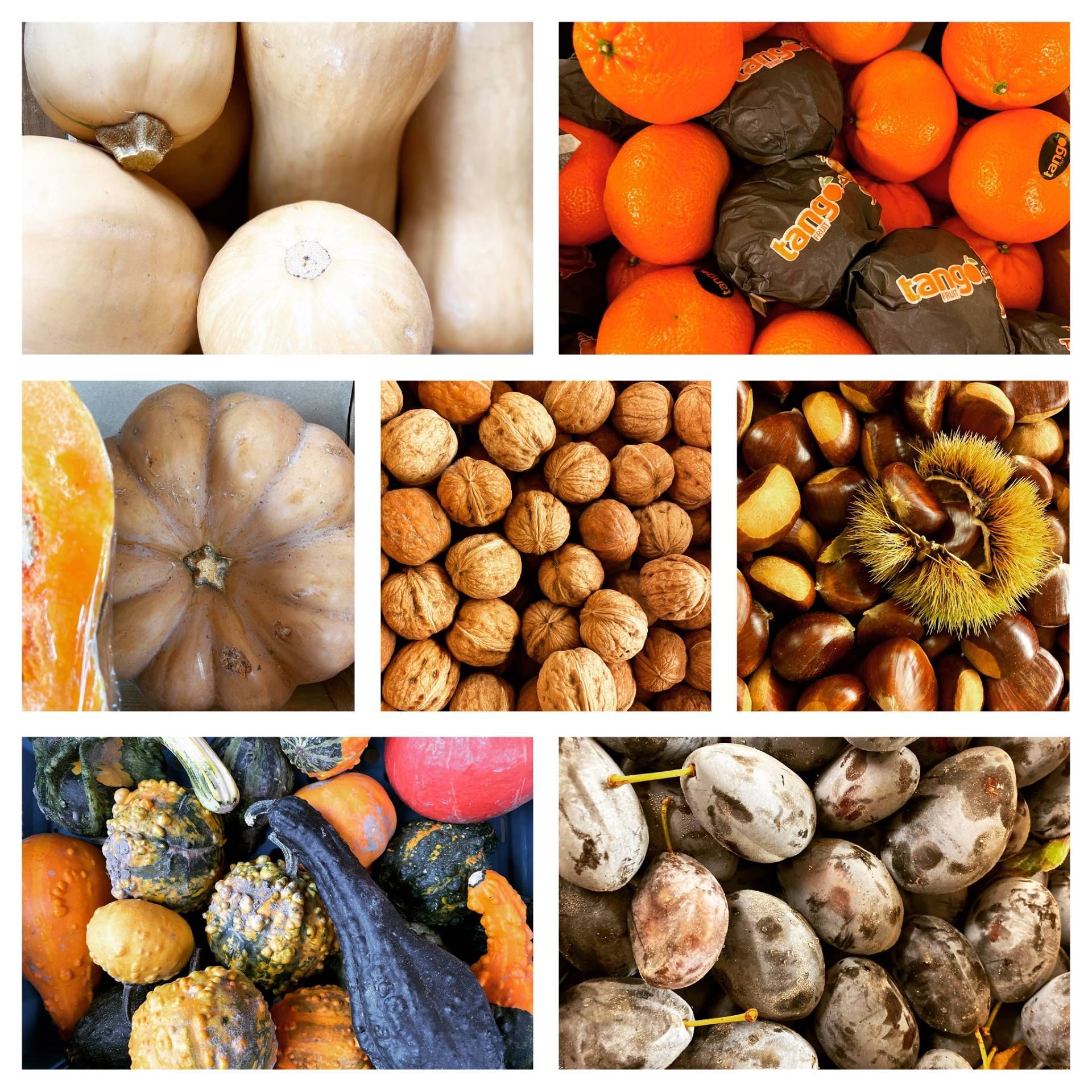 Feinkost Frank Lebensmittel Nüsse