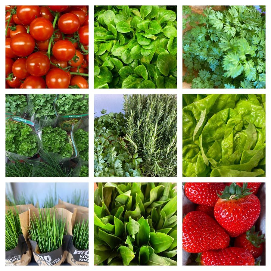 Feinkost Frank Lebensmittel Gemüse