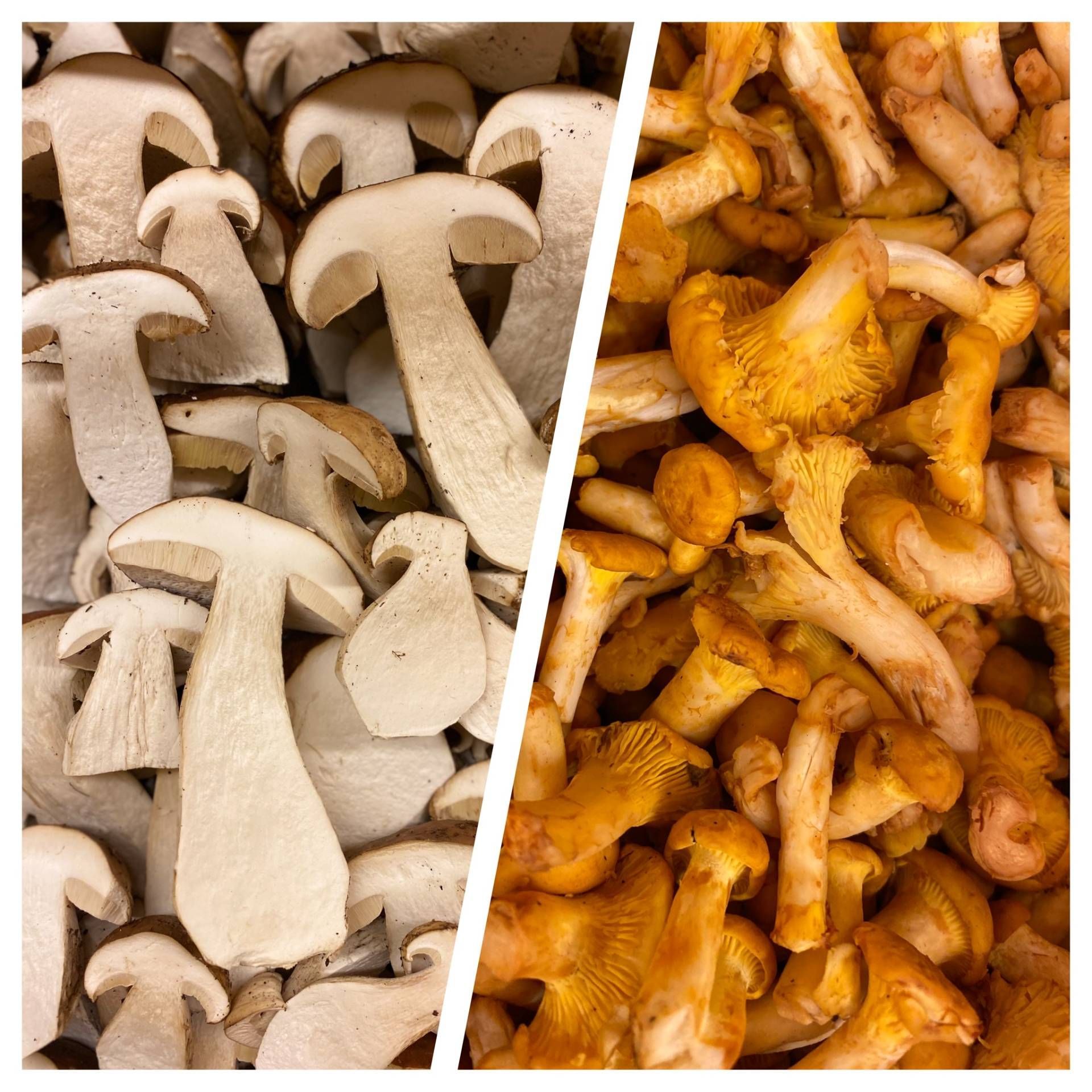 Feinkost Frank Lebensmittel Champions