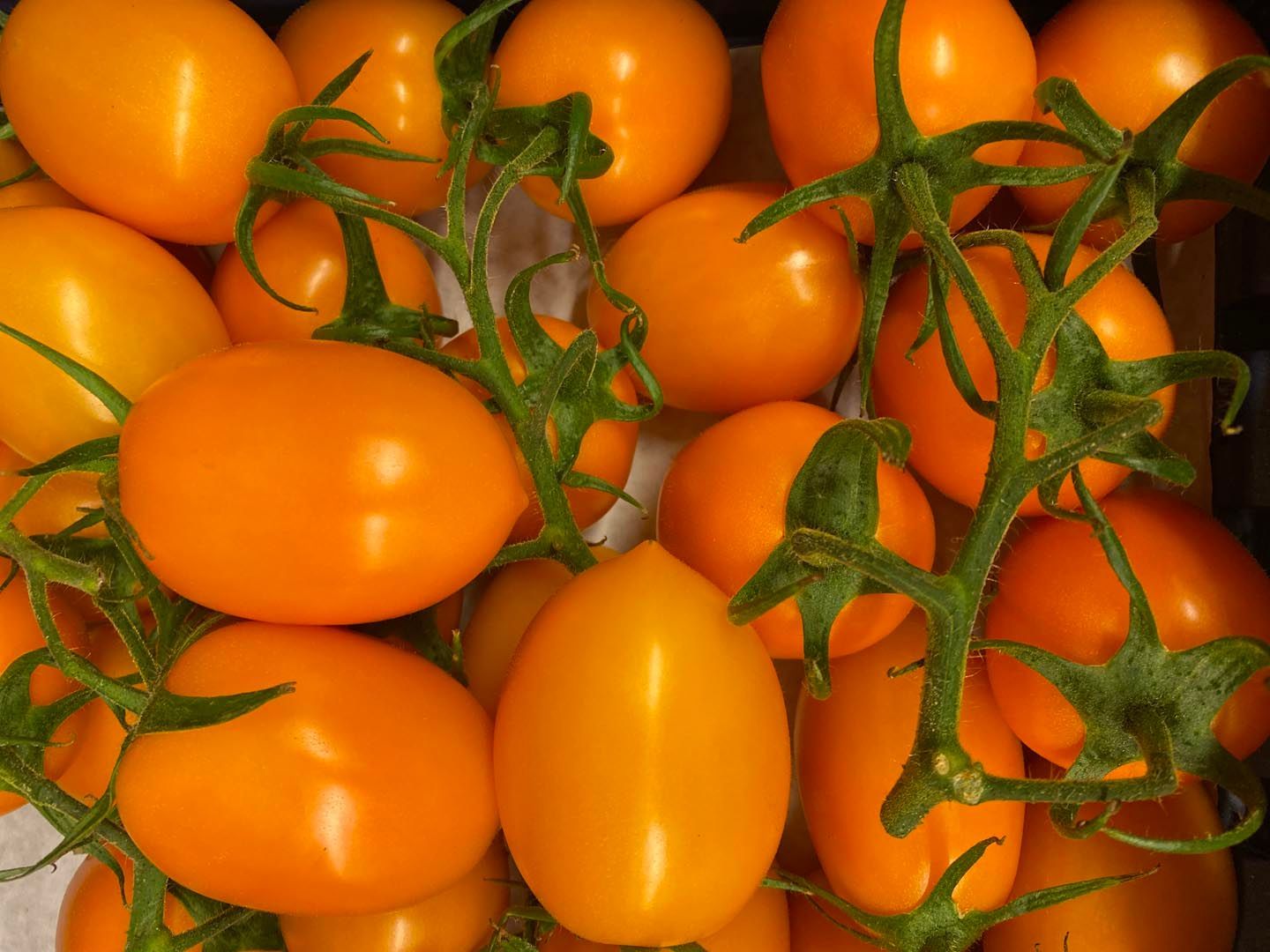 Feinkost Frank Lebensmittel Gemüse