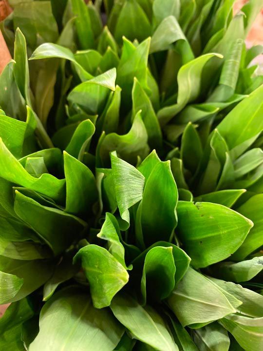 Feinkost Frank Lebensmittel Gemüse