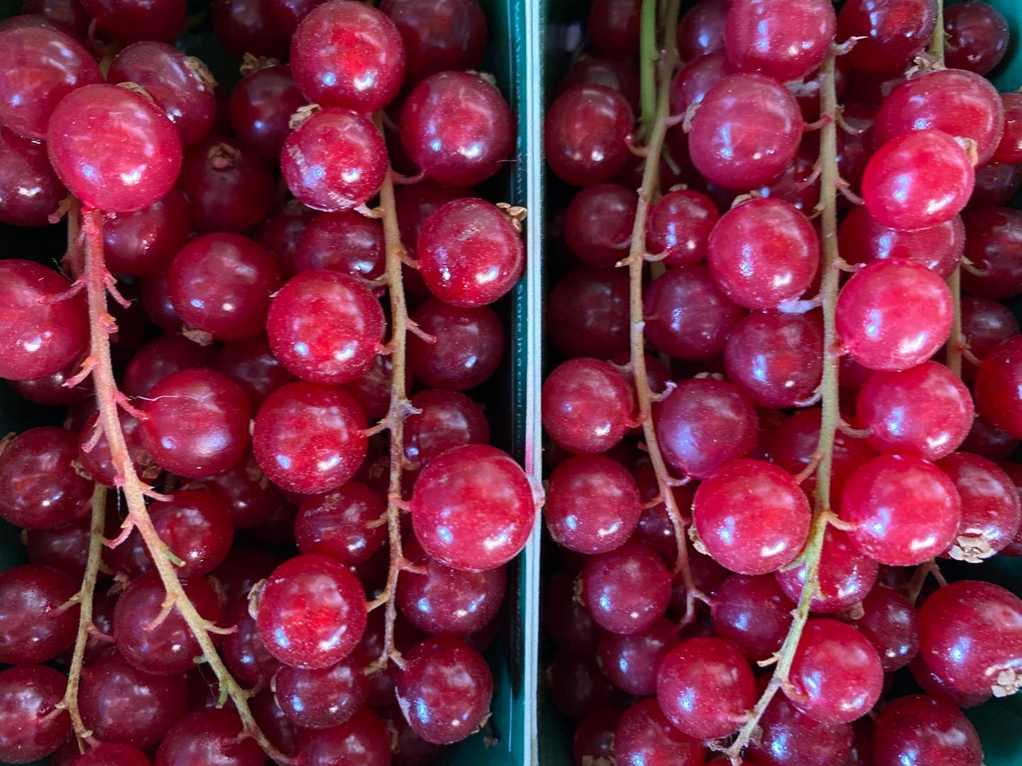 Feinkost Frank Lebensmittel Obst