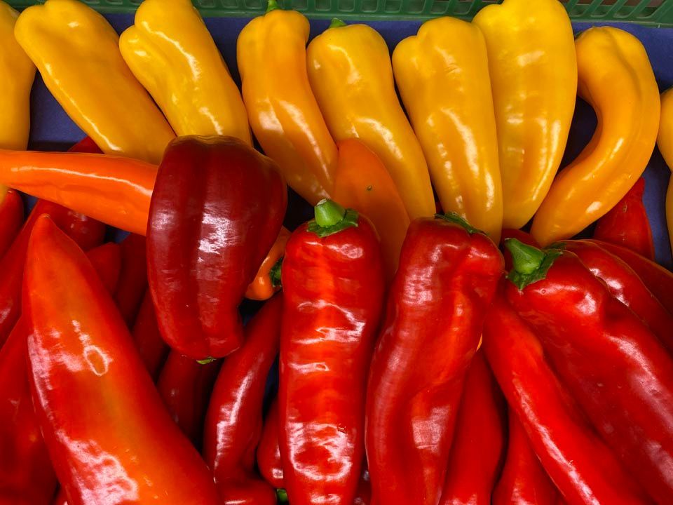 Feinkost Frank Lebensmittel Gemüse