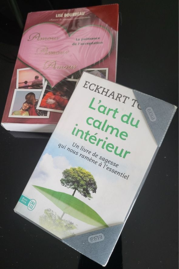 Coucher de soleil sur un lac calme, reflétant une île rocheuse bordée d'arbres et une montagne en arrière-plan. Ciel rose et orangé.