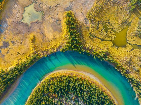 Gros plan d'une fleur de lotus rose à cœur jaune et blanc.