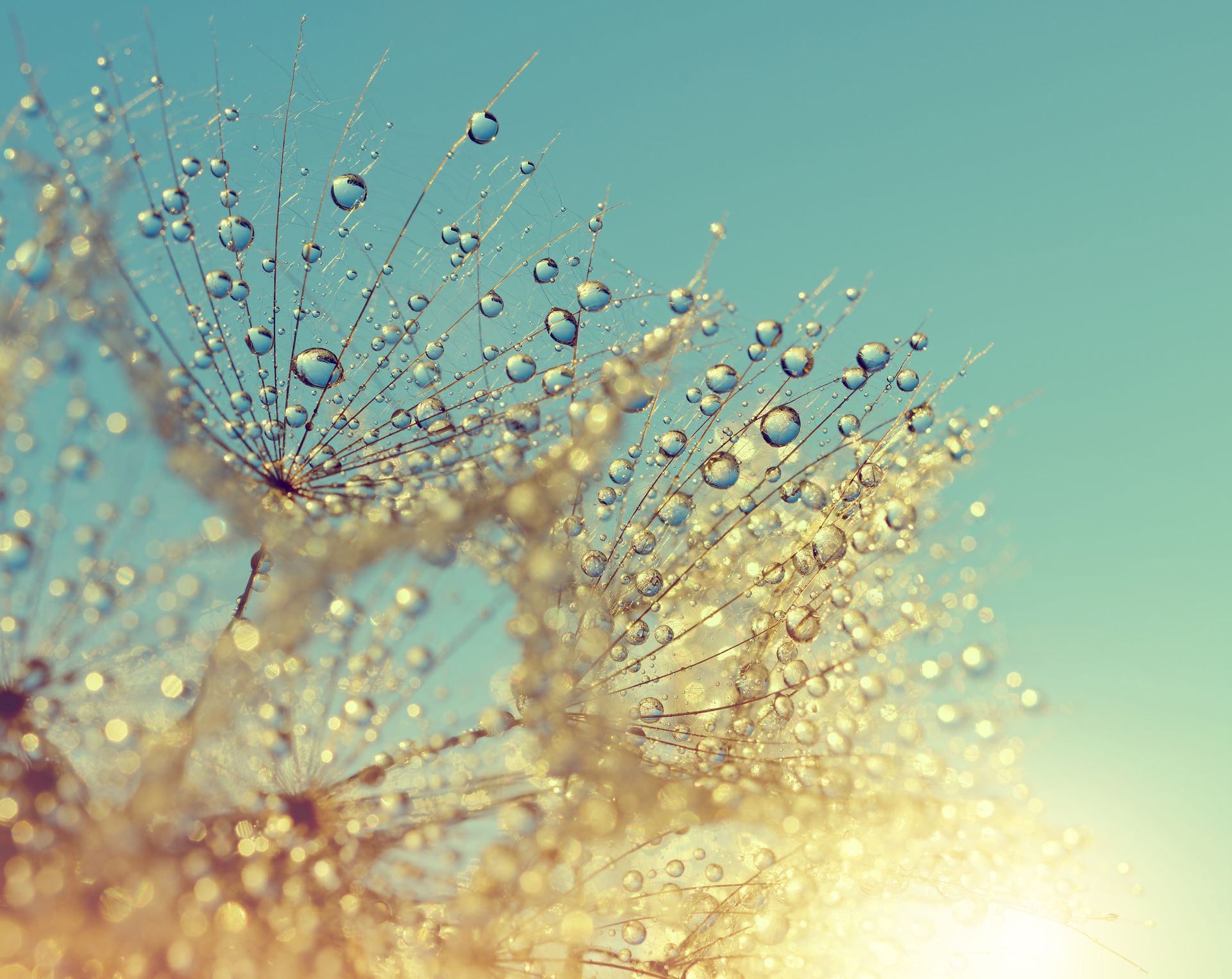 Forêt enneigée et lac sous un ciel aux couleurs pastel.
