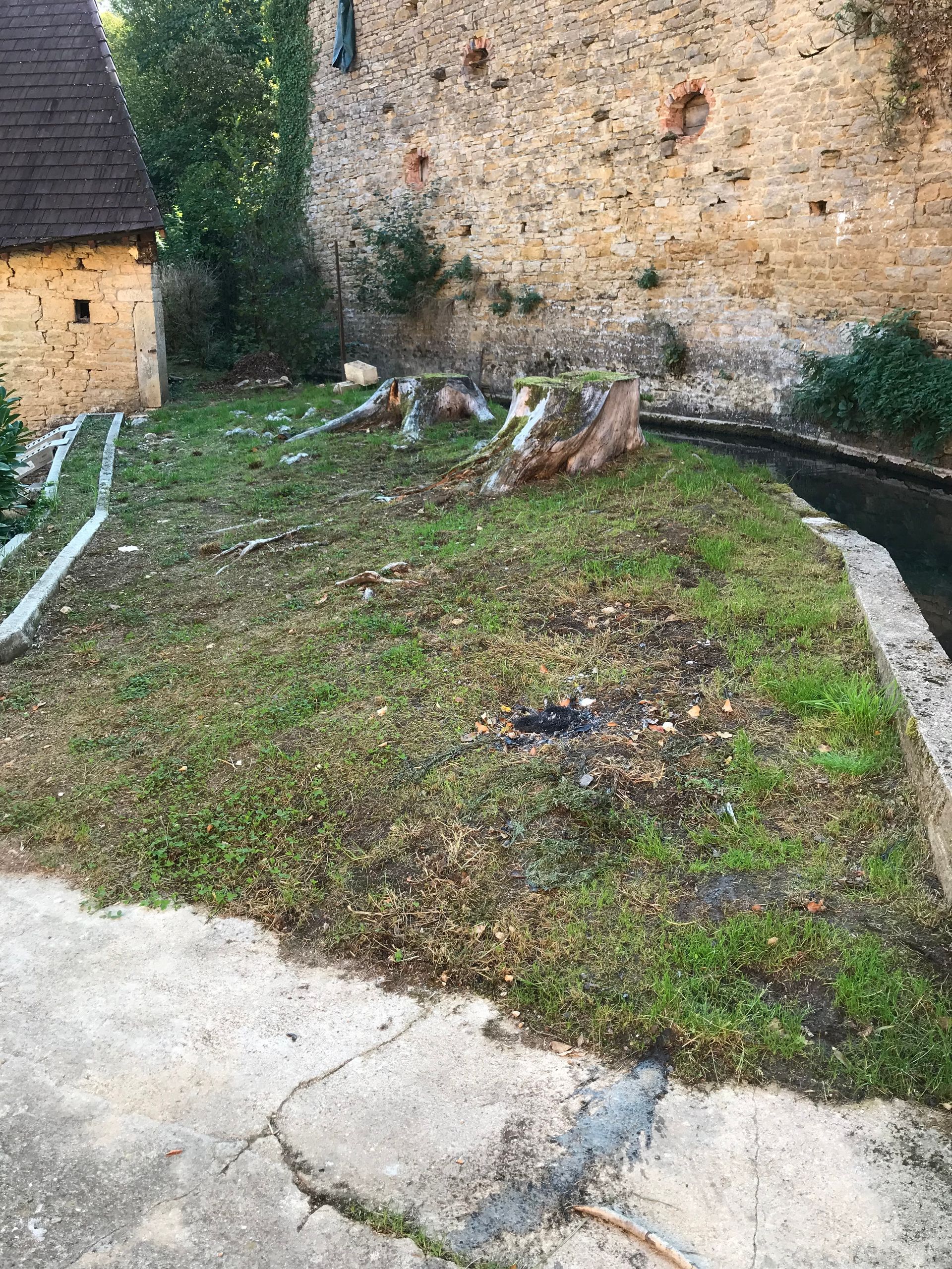 Un jardin avant aménagement.