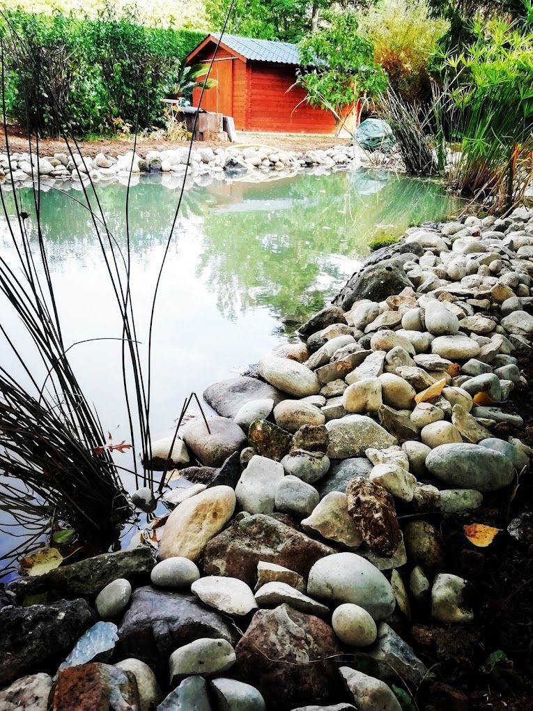 Bassin avec des galets et des plantes