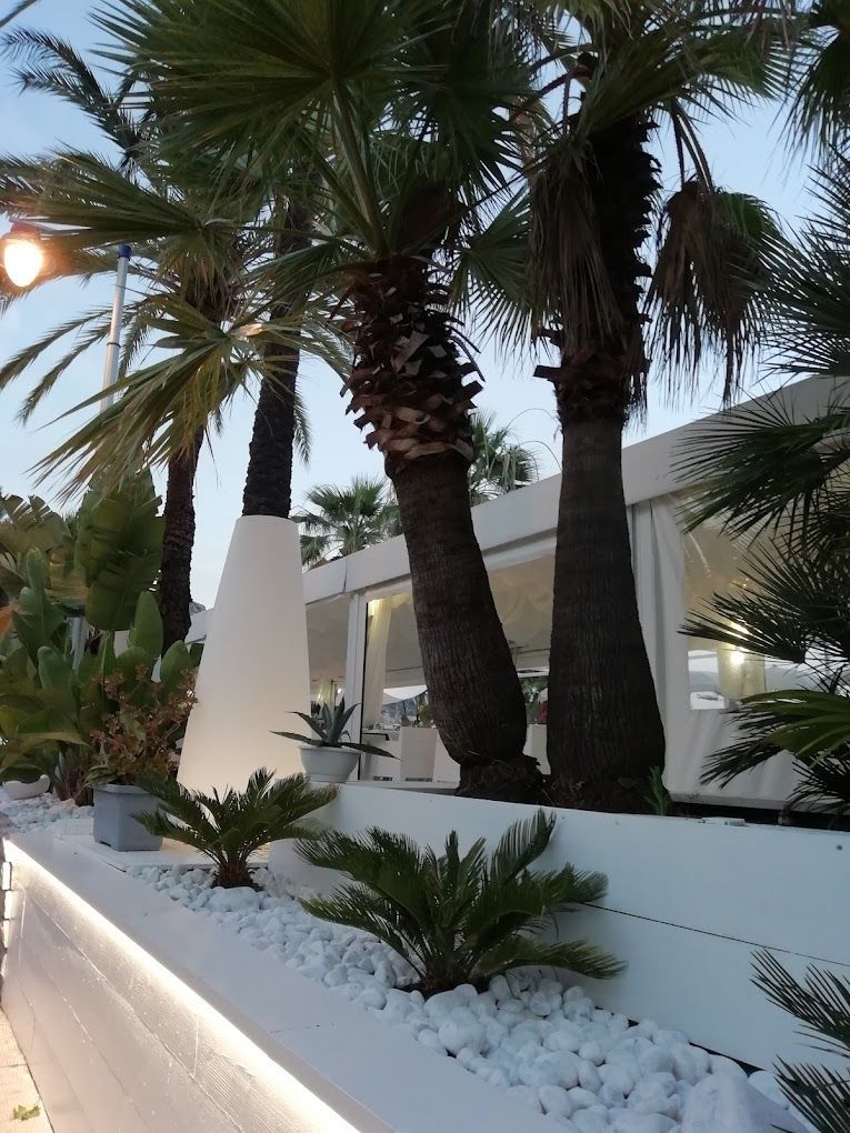 Entretien de palmiers