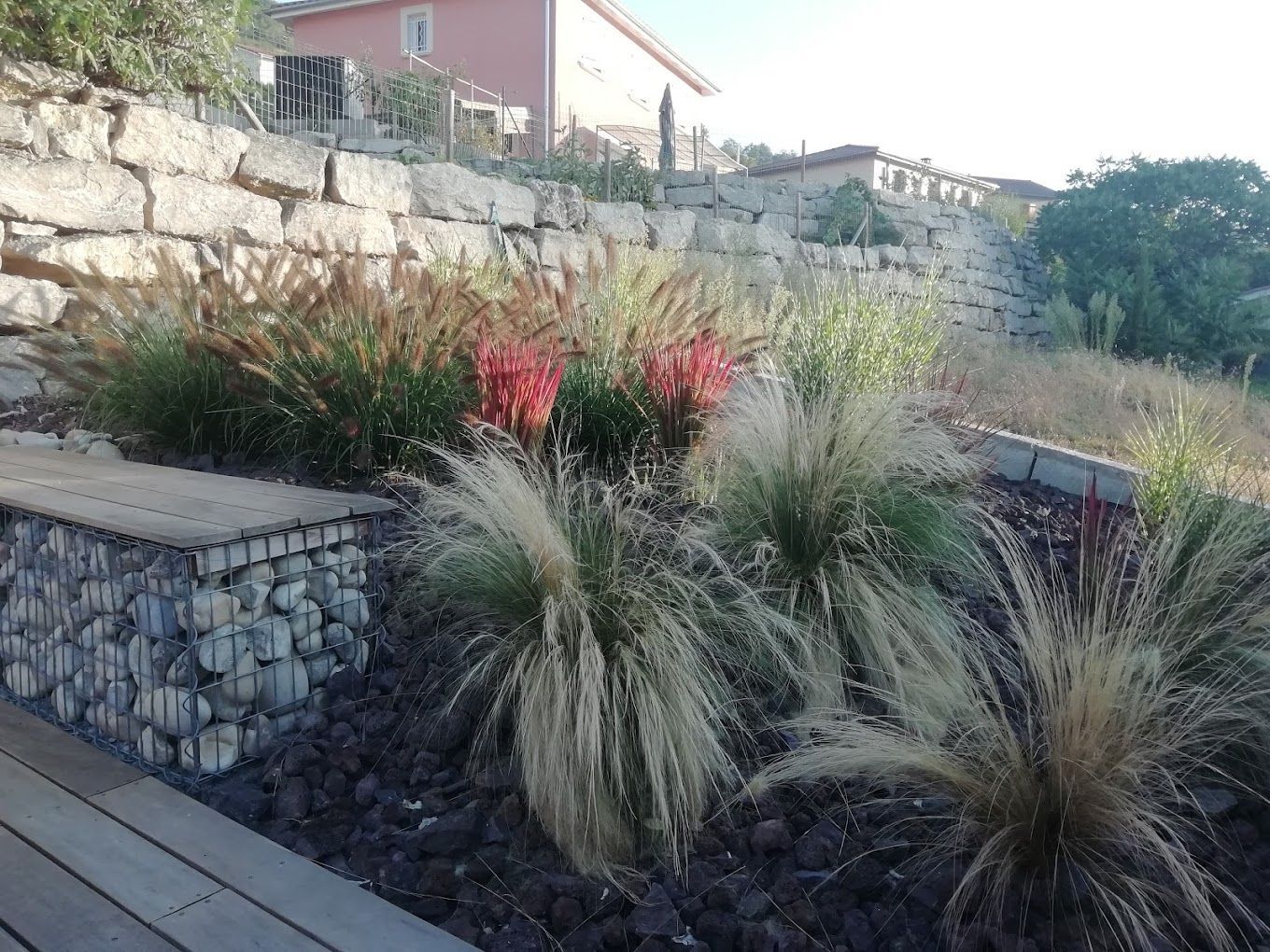 Plantation d'arbustes