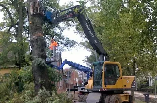 Ein Volvo-Bagger fällt einen Baum