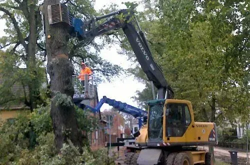Ein Volvo-Bagger fällt einen Baum