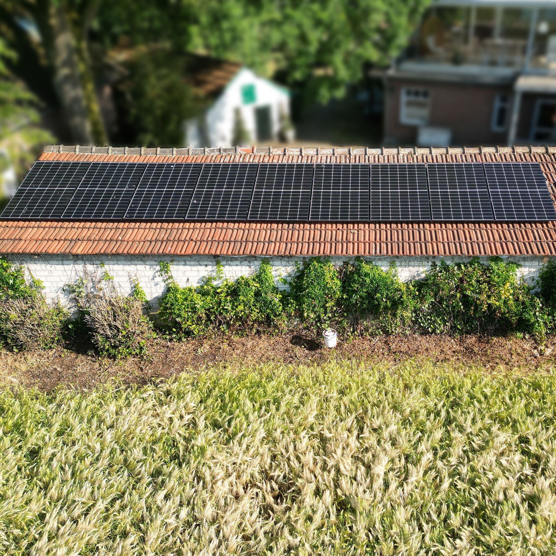 Solarmodule auf dem roten Ziegeldach eines Gebäudes, im Vordergrund ein Weizenfeld und ein unscharfer Hinterhof.