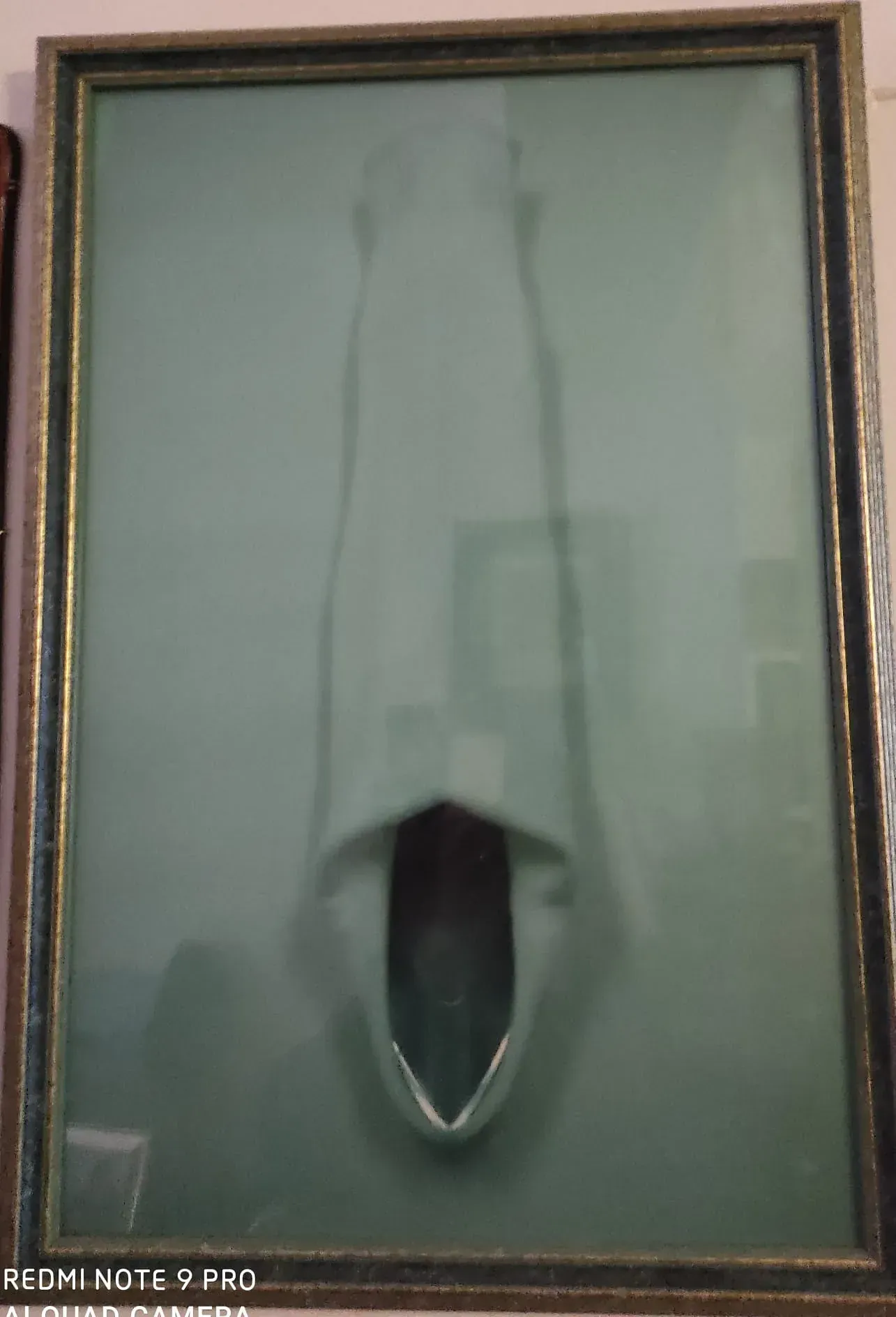 Una imagen de un tiburón está enmarcada en una pared.