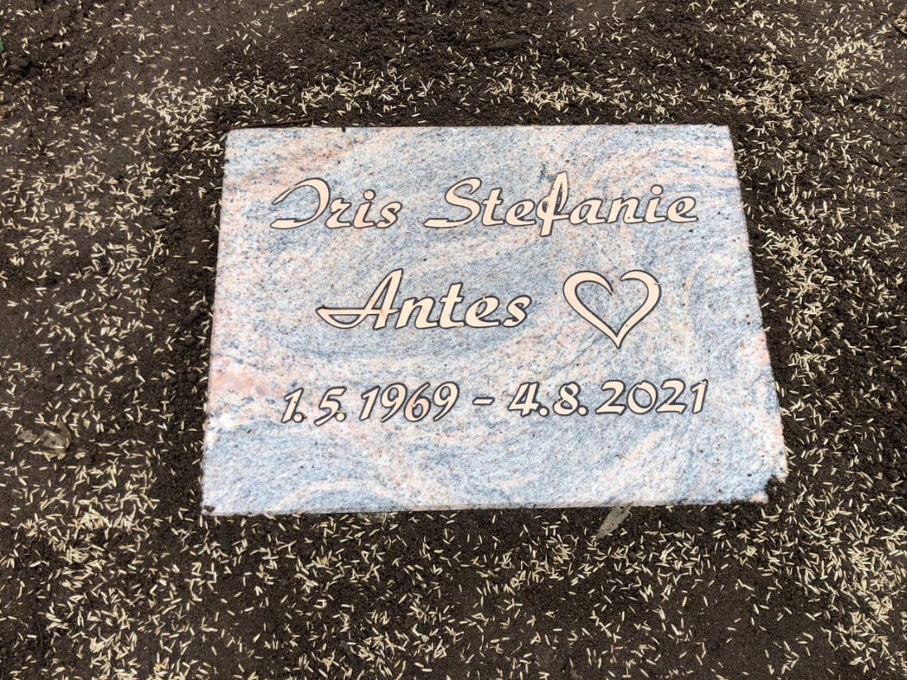 Urnen-Wiesengrab mit Rose