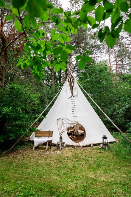 Witte tipi in een groene, bosrijke omgeving.