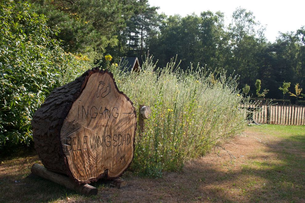 Grote houten sculptuur met gegraveerde tekst in een tuinsetting; groene planten en bomen op de achtergrond.