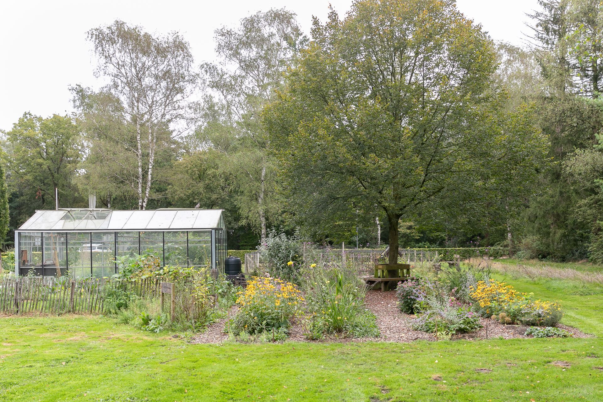 Kas en tuin met een grote boom ervoor.
