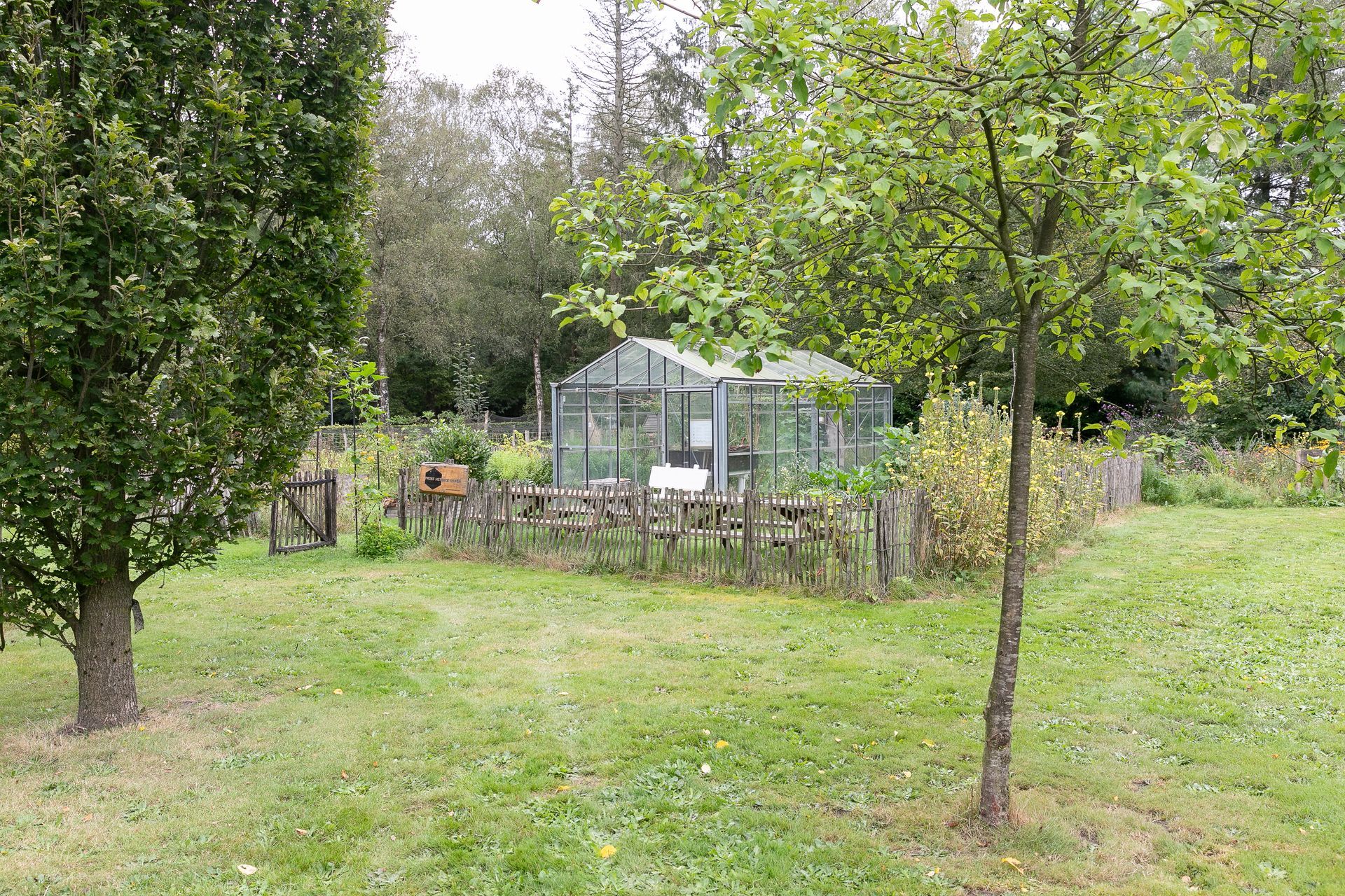 Een kas in een tuin, omgeven door kleine bomen, een houten schutting en gras.