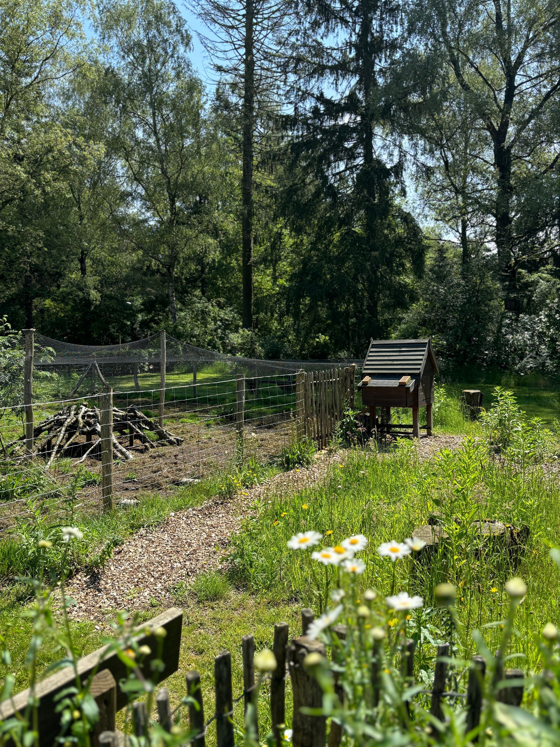 Een tuintafereel met een houten pergola, opgestapeld brandhout en een bijenkorf, te midden van weelderig groen.