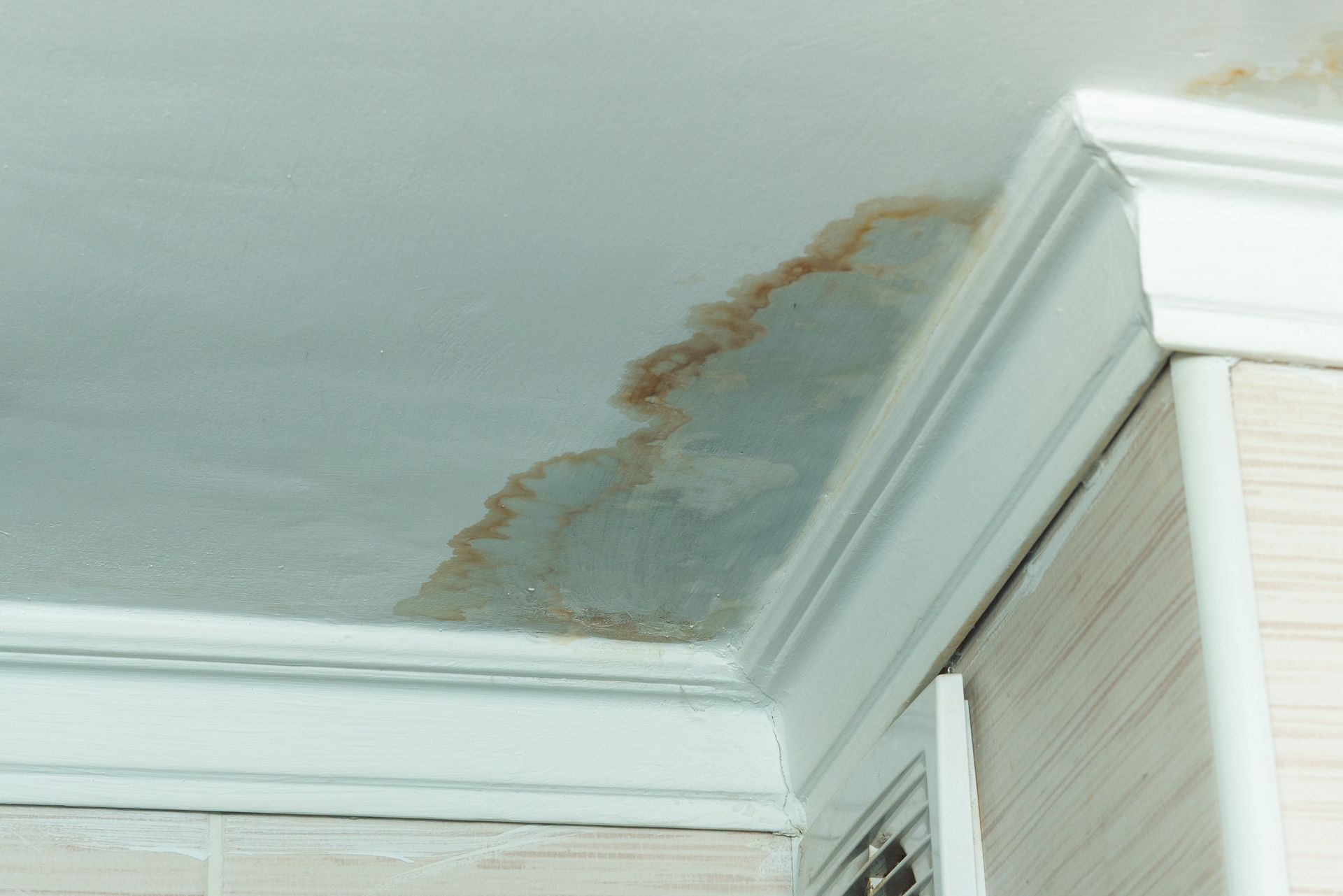 Taches d''humidité dans un coin de plafond, à côté d'une moulure blanche.