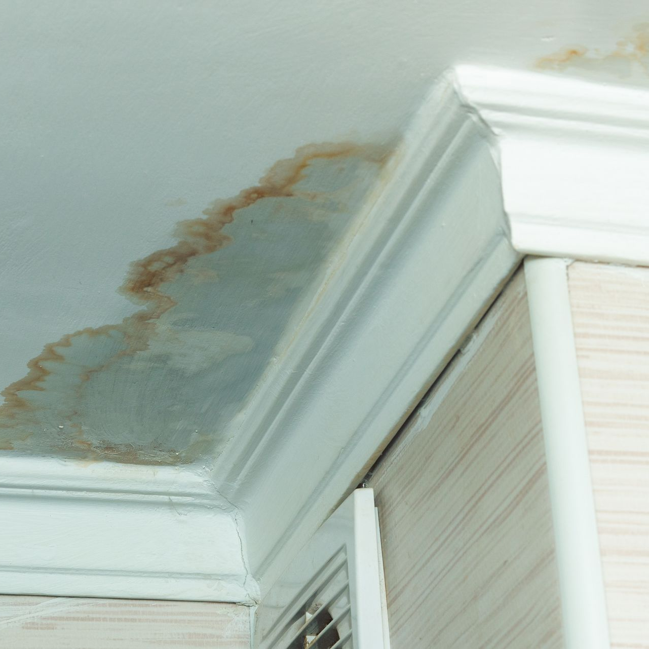 Tache d'eau et moisissure brune sur un coin de plafond au-dessus d'une plinthe.