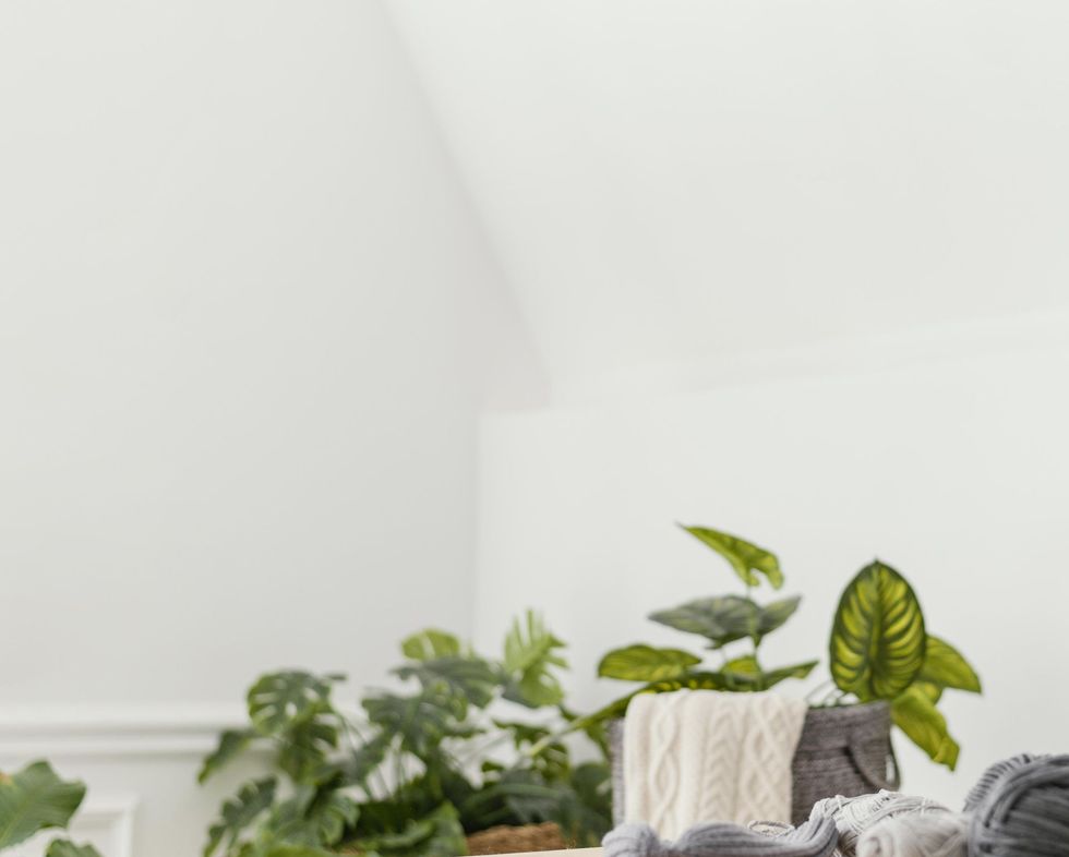 Plantas, una manta e hilo en una habitación llena de luz.