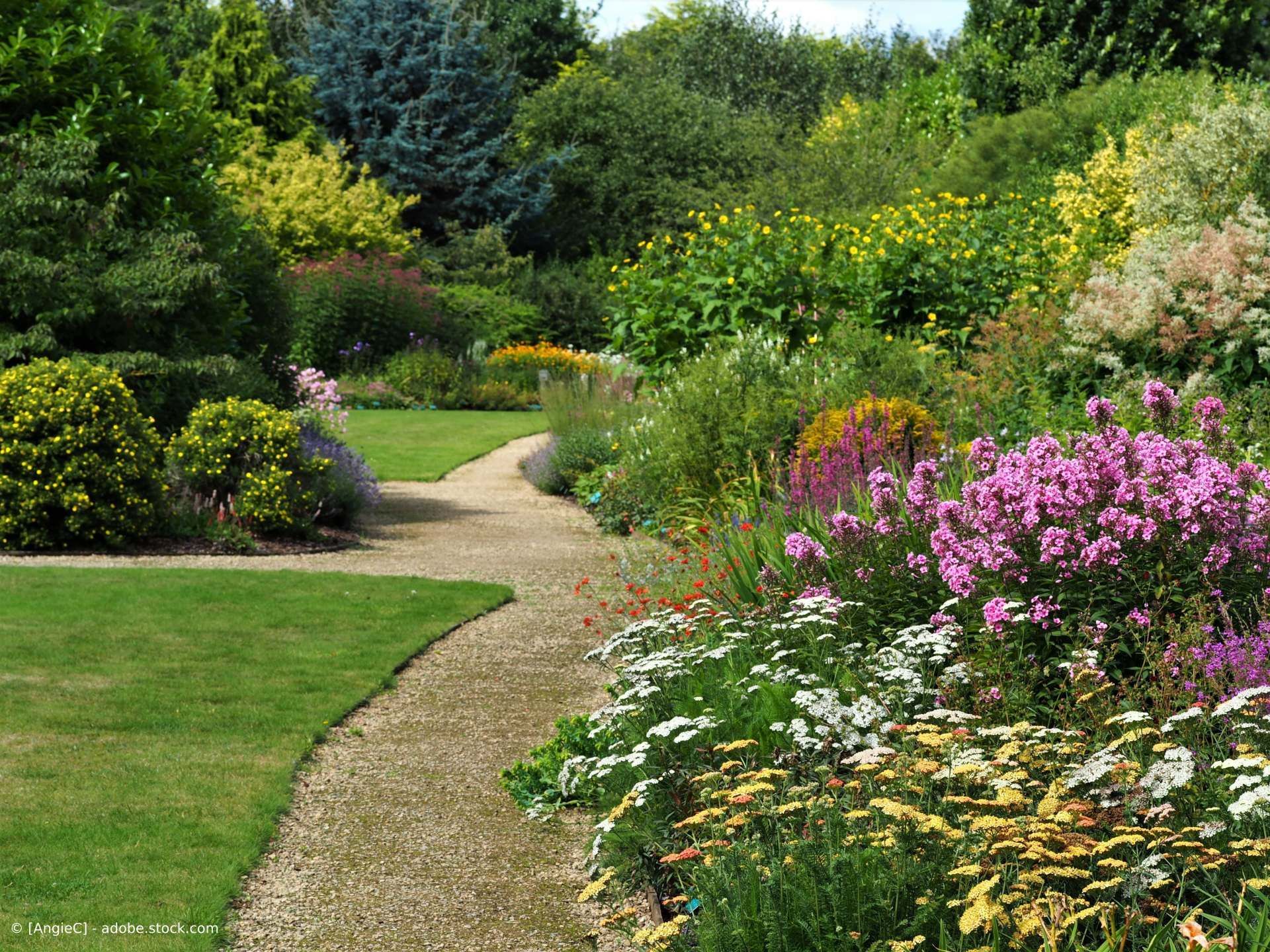Gepflegter Garten