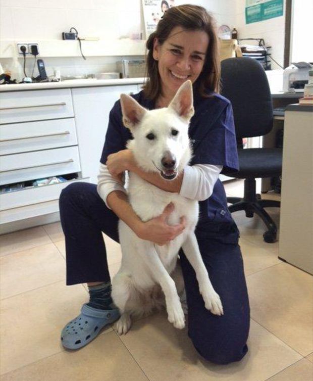 Una mujer está arrodillada sosteniendo un perro blanco.