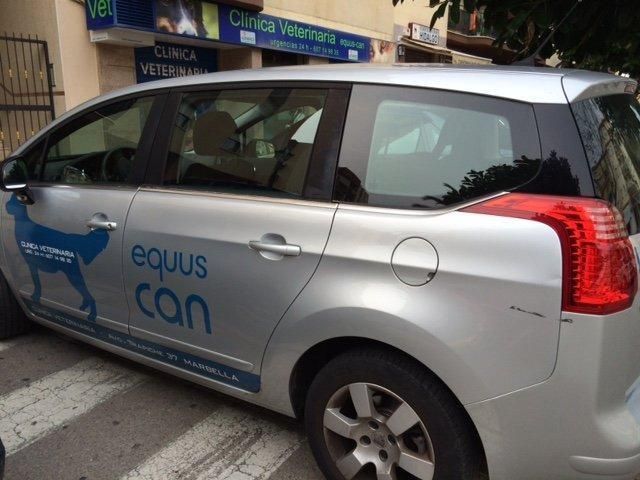 Un coche plateado con la palabra equus lata escrita en el lateral.