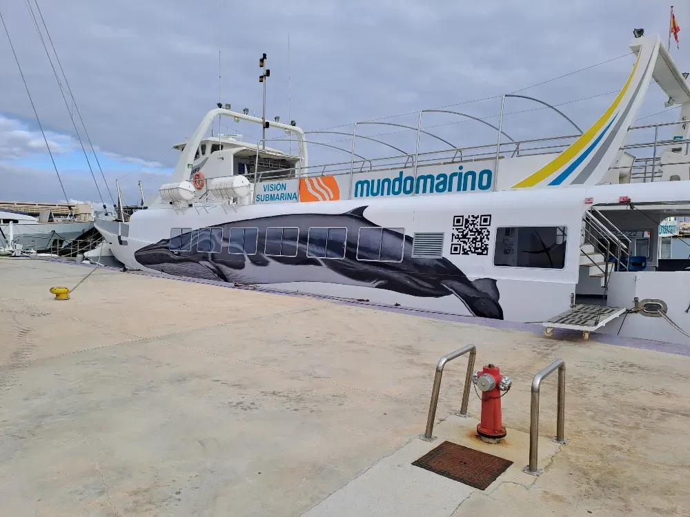 Barco de pasajeros blanco y azul con mural de una ballena, atracado en un muelle. Logotipo de 