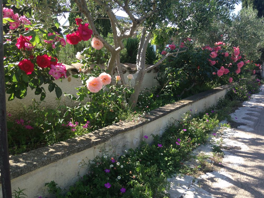 Jardin extérieur du restaurant