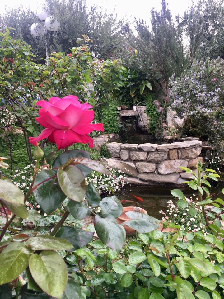 Le jardin du restaurant Le BOUZOUKI