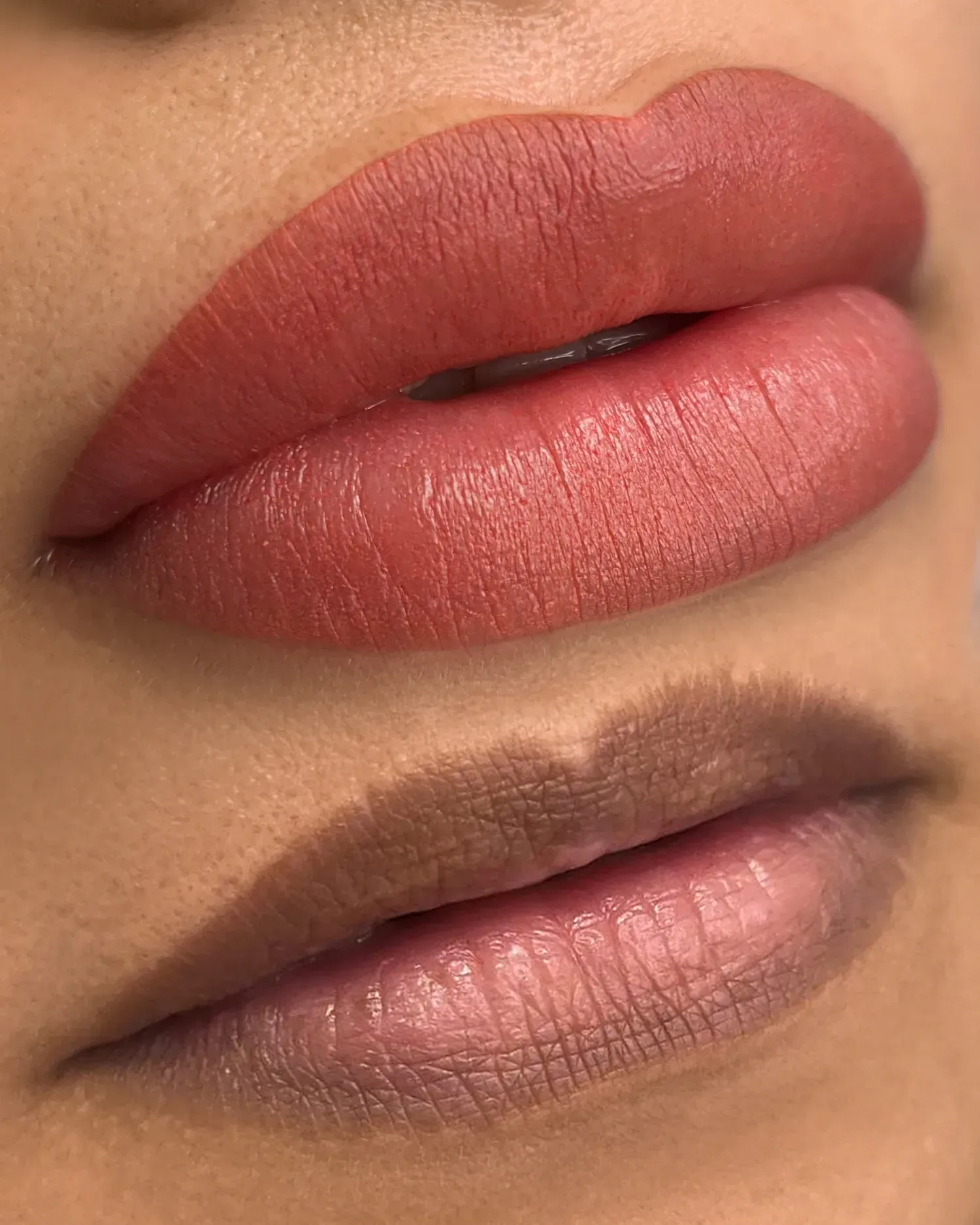 Dos juegos de labios con diferentes colores de rubor: uno rosa cálido y otro marrón.