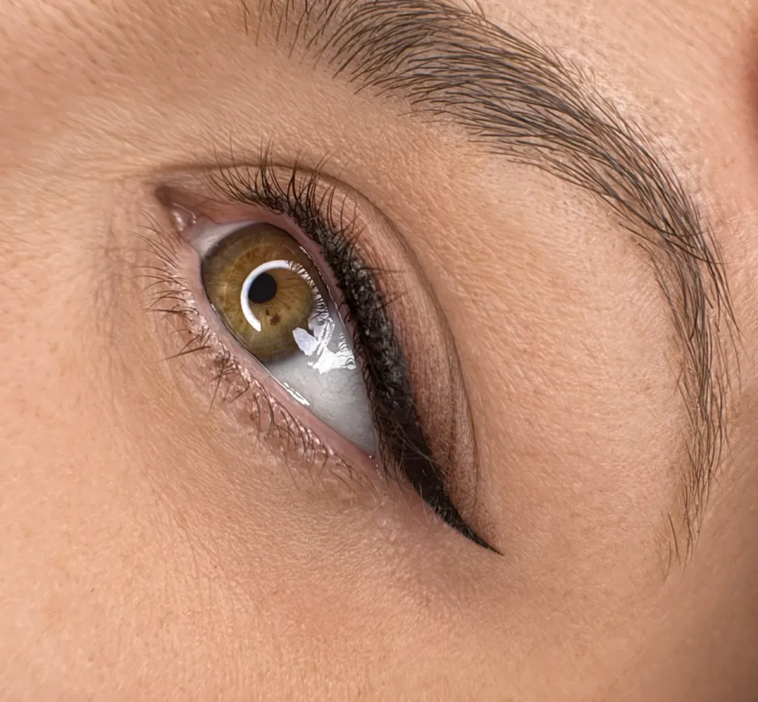 Primer plano de un ojo con delineador permanente. El ojo es color avellana, con una ceja ala.