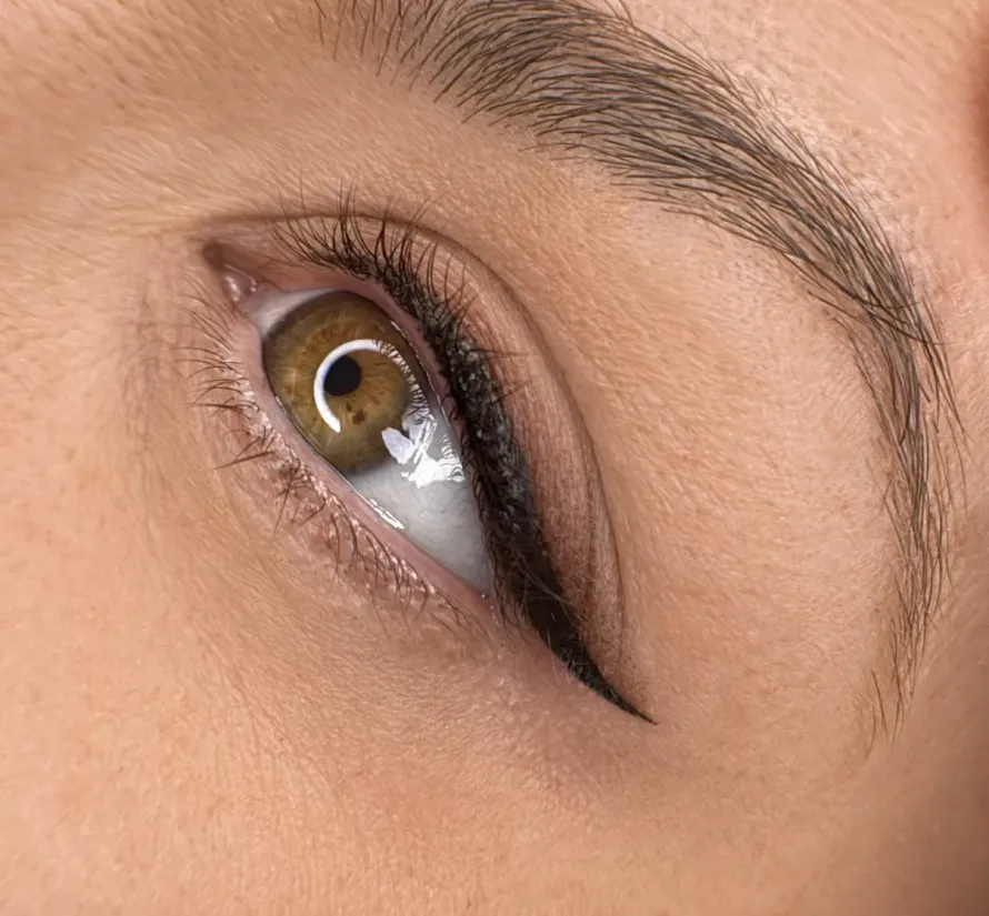 Primer plano de un ojo con delineador permanente. El ojo es color avellana, con una ceja ala.