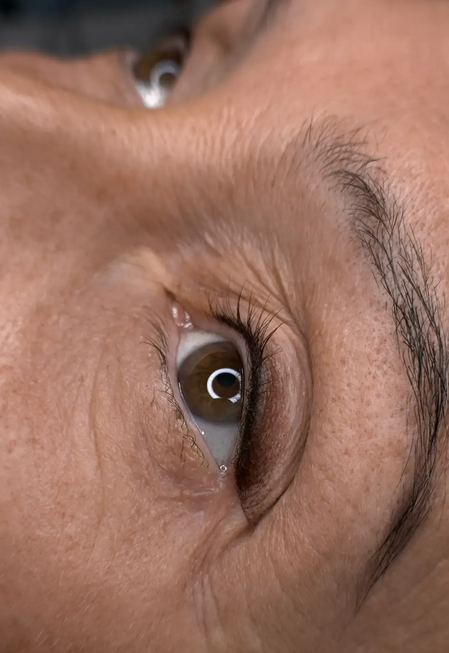 Primer plano del ojo de una persona, con iris y pestañas marrones.