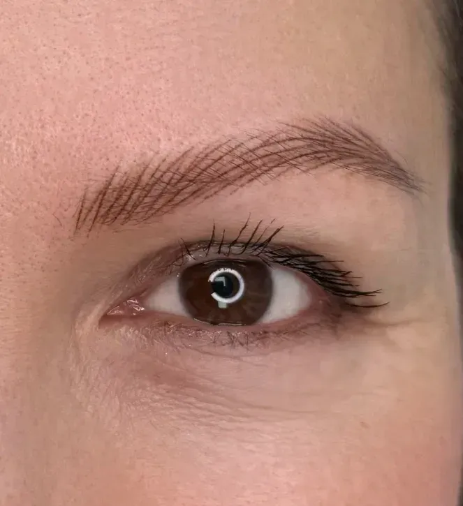 Primer plano del ojo de una persona, mostrando la ceja, las pestañas con rímel y el iris marrón oscuro.