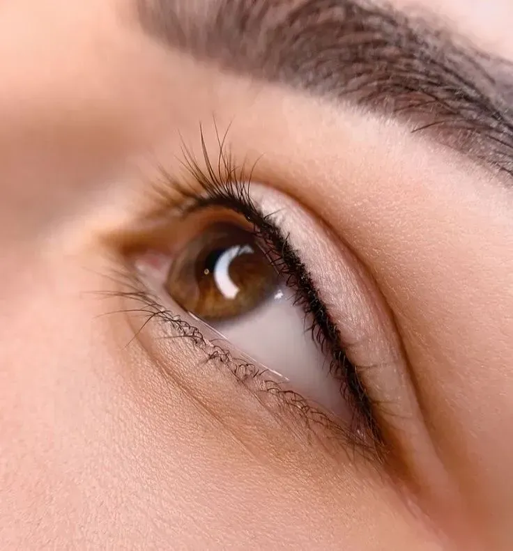 Primer plano de un ojo marrón con delineador y ceja; mirando hacia arriba.