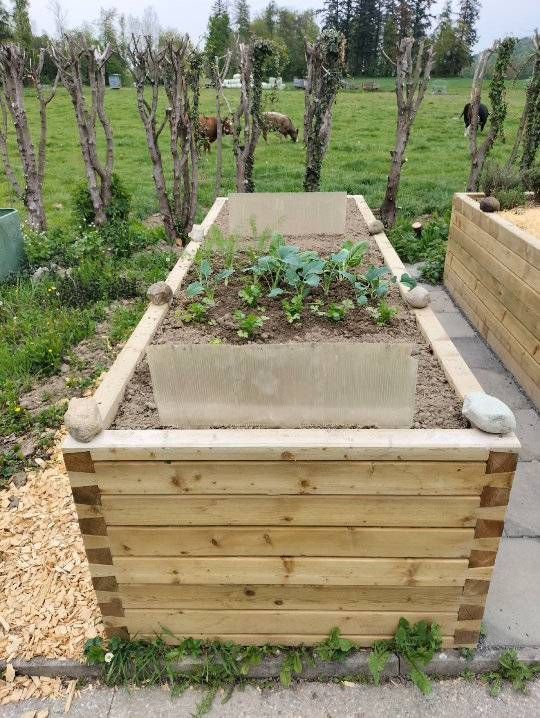 Une jardinière en bois remplie de plantes est posée au milieu d'un champ. Photo D'équerre et d'aplomb