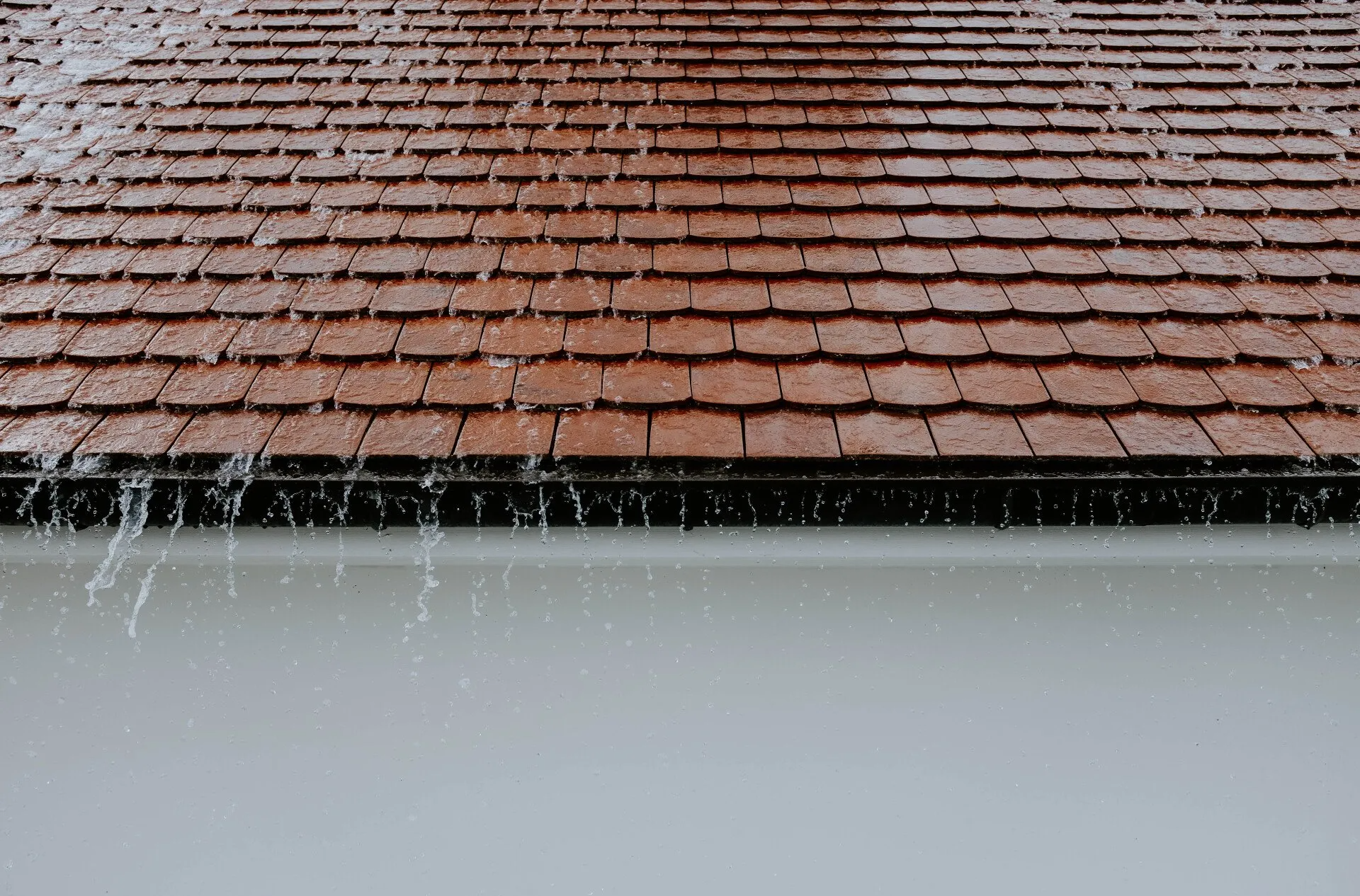 Eaux de pluie sur toiture