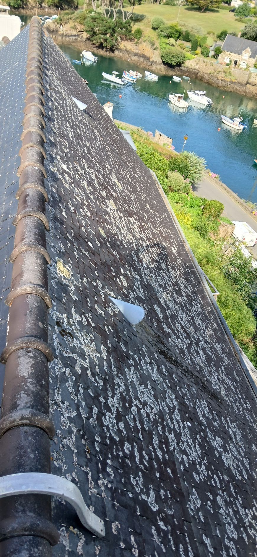 Toiture en ardoise recouverte de mousses