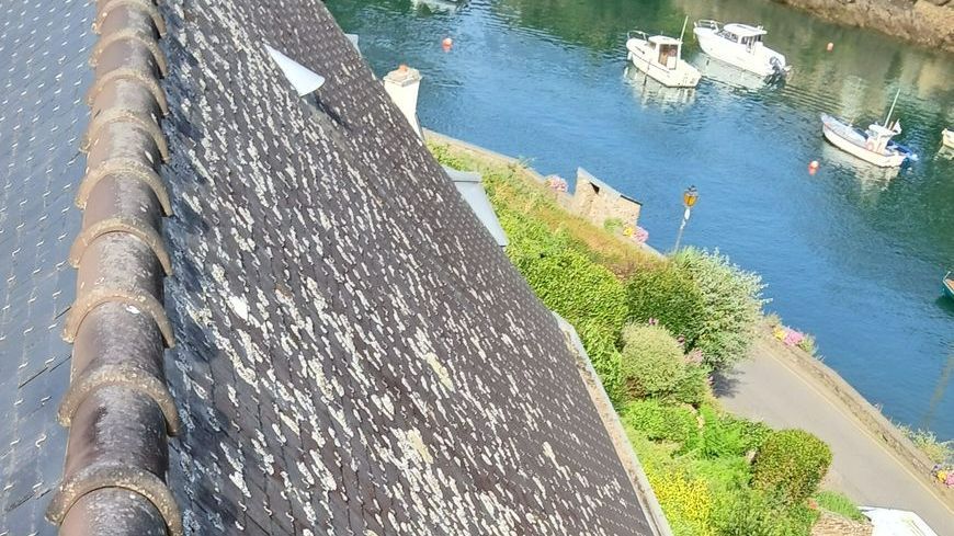 Toiture en ardoise avant nettoyage