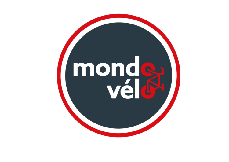 Logo mondo velo