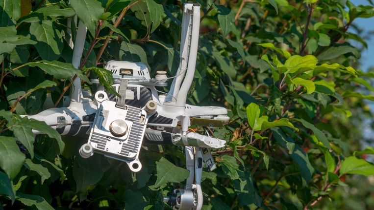 Happytree Baumpflege - Drohnenrettung