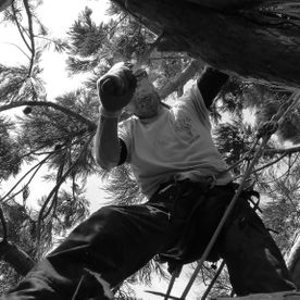 Happytree Baumpflege - Baumarbeiten