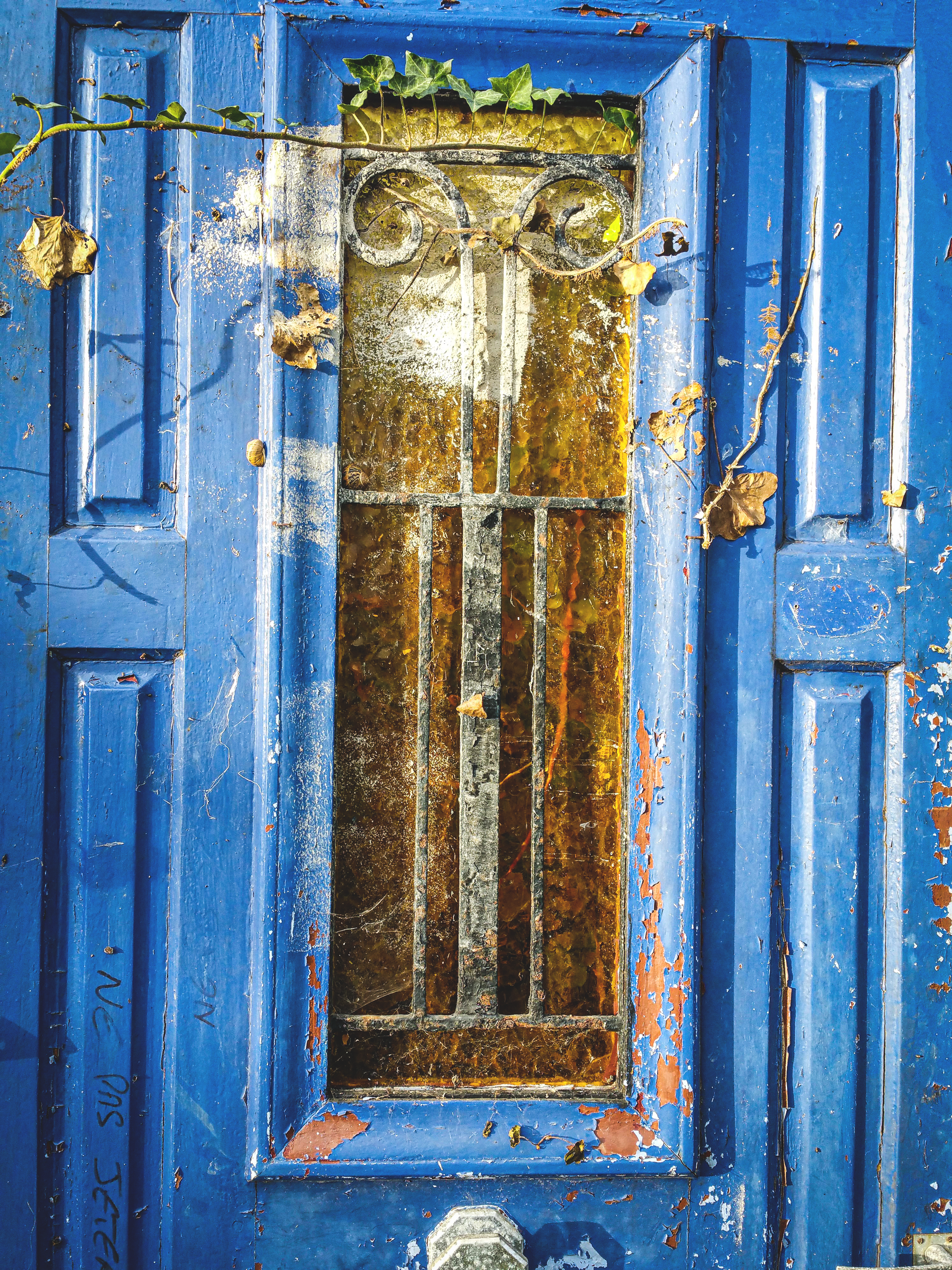 Porte d'entrée avant