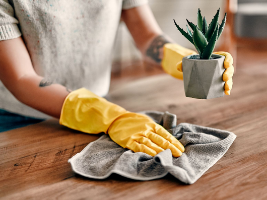 Une personne qui passe un chiffon sur une table pour la nettoyer et qui tient une plante dans l'autre main.