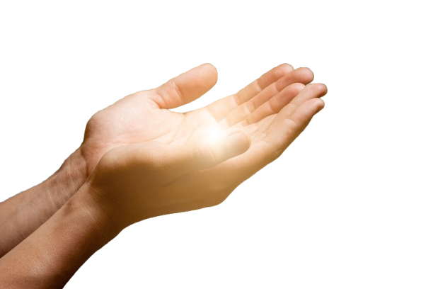 Lever de soleil sur une prairie